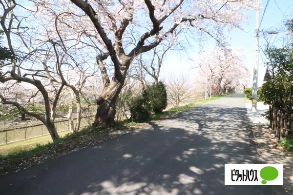 南区鷲ノ木新田川原土地 その他