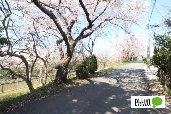 南区鷲ノ木新田川原土地 その他
