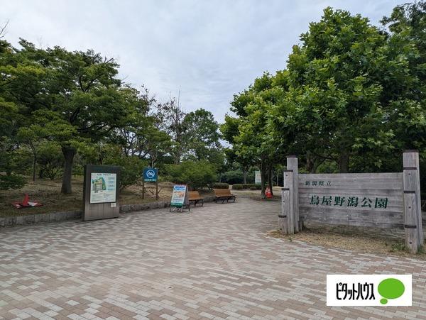 鳥屋野公園　女池エリア