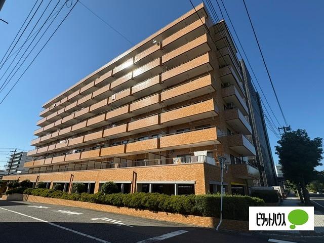 ダイアパレス大川前（807） 外観