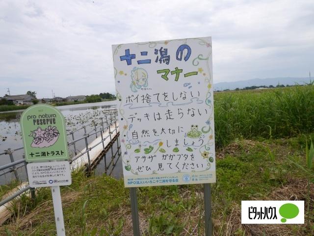 新潟市北区灰塚土地 土地画像