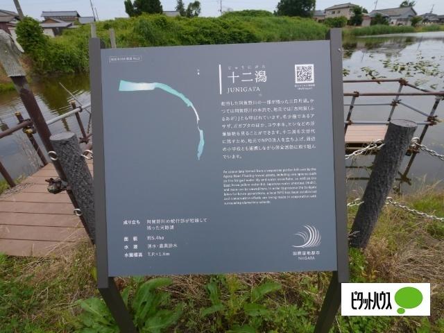 新潟市北区灰塚土地 土地画像