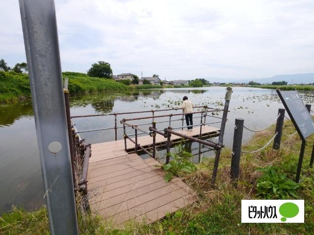 新潟市北区灰塚土地 土地画像