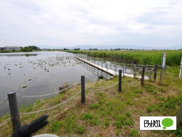 新潟市北区灰塚土地 土地画像