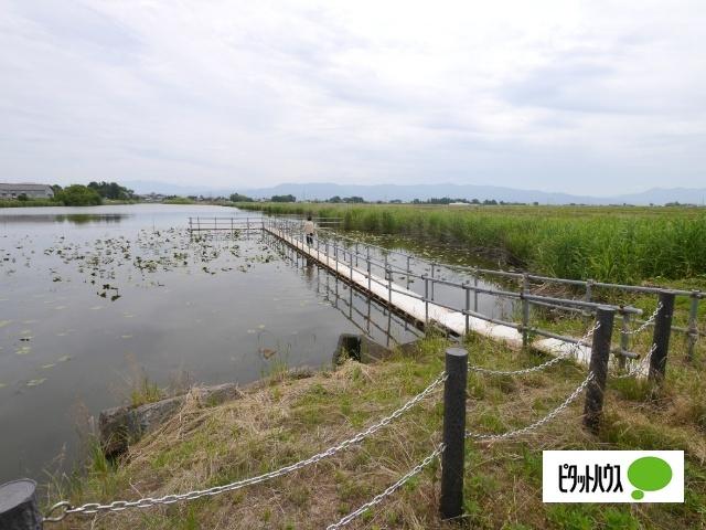新潟市北区灰塚土地 土地画像