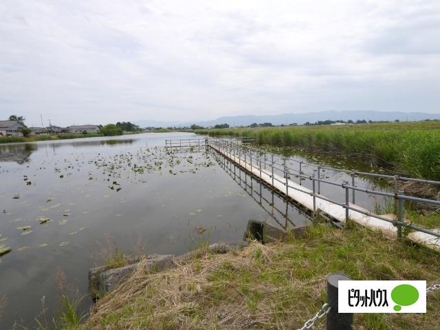 新潟市北区灰塚土地 土地画像
