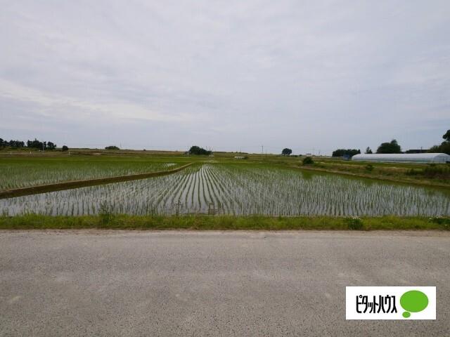 新潟市北区灰塚土地 土地画像