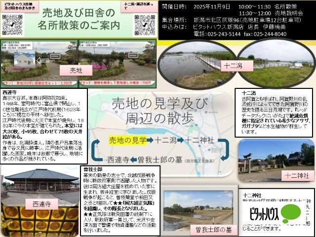 新潟市北区灰塚土地 その他