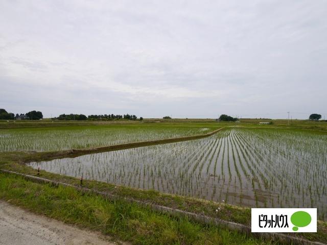 新潟市北区灰塚土地 土地画像