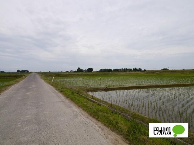 新潟市北区灰塚土地 土地画像