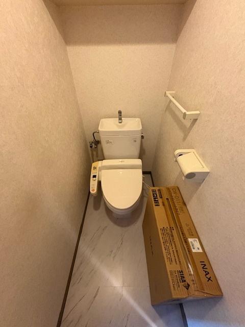 ダイアパレス笹口三丁目（601） トイレ