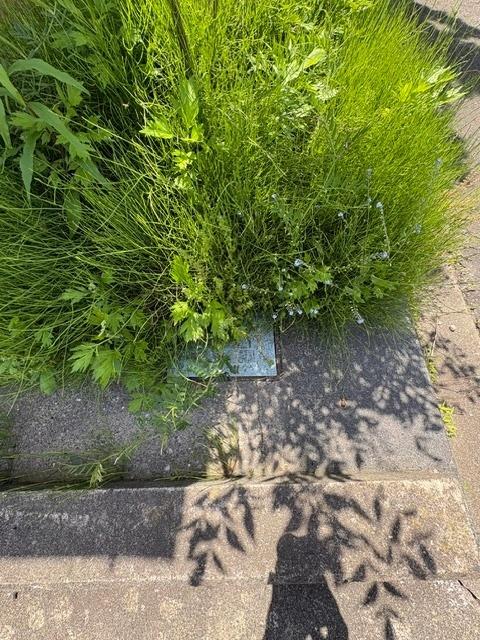 西蒲区旗屋 売地 その他