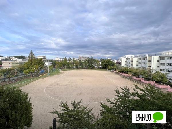 関屋ハイツ 眺望