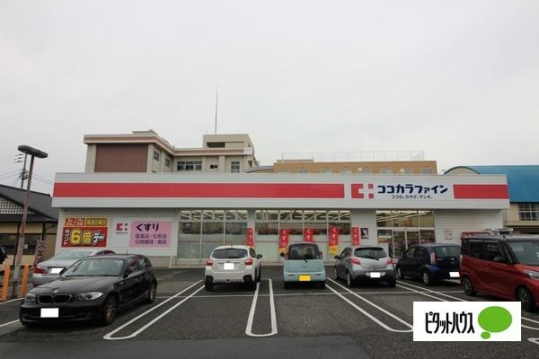 ドラックストア