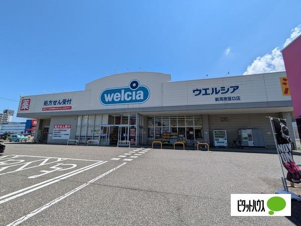 ドラックストア