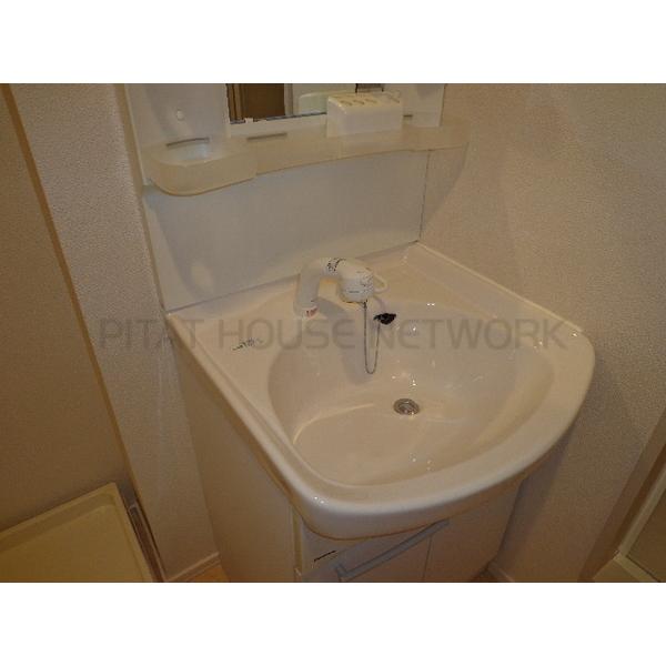 シャンプードレッサー