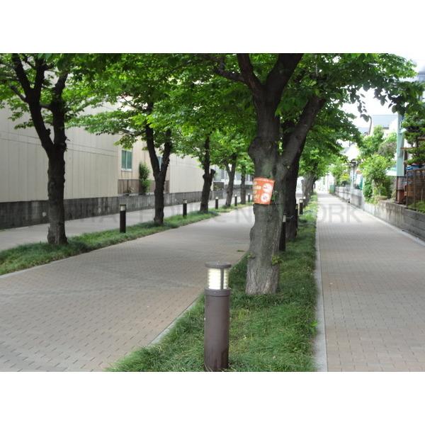 北部公園:806m
