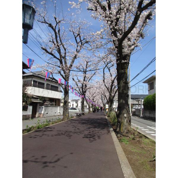 物件前の遊歩道