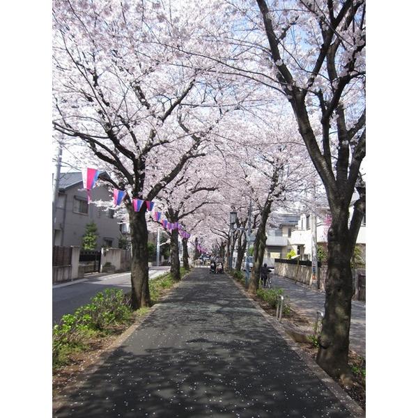 花と緑の散歩道:190m