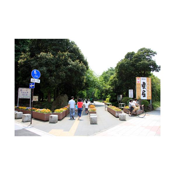 北浦和公園:569m