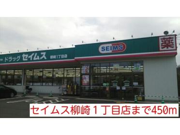 セイムス柳崎１丁目店：450m