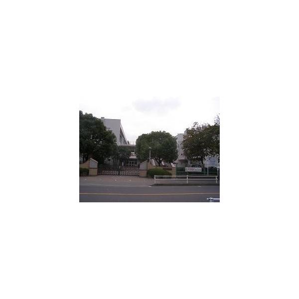 さいたま市立辻小学校:291m