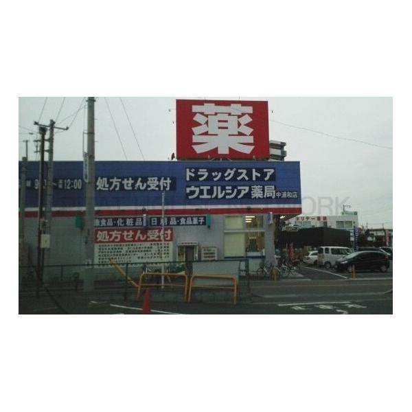 ウエルシア:270m
