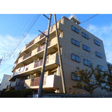 南向き日当たり良好
