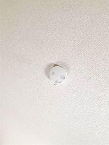カーサオリーヴァ 部屋画像