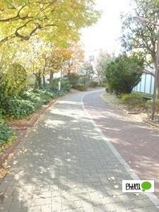 大島緑道公園：1153m