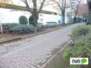 亀戸緑道公園：877m