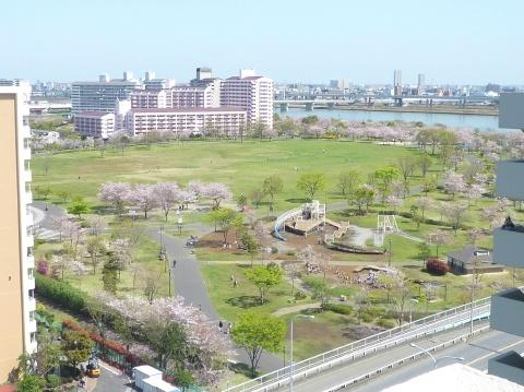 小松川緑地