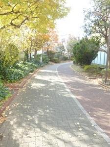公園