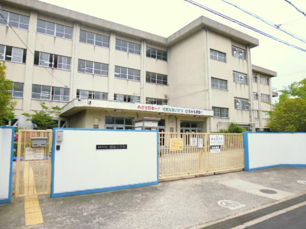 寝屋川市立楠根小学校：307m
