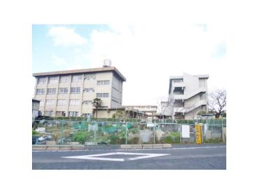 寝屋川市立点野小学校：1591m