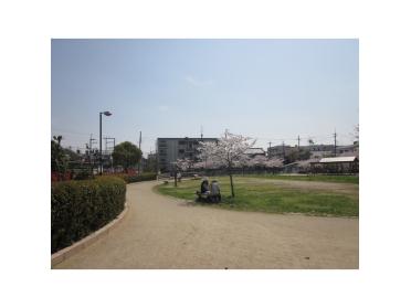 田井西公園：590m