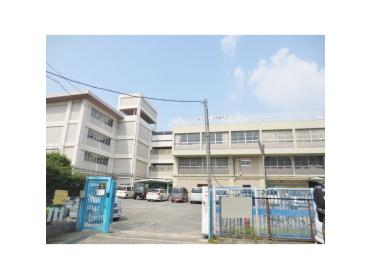 寝屋川市立桜小学校：881m