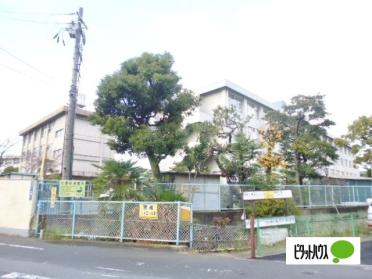 寝屋川市立点野小学校：487m