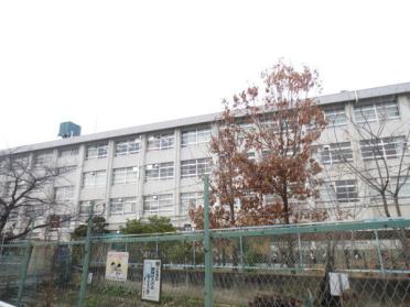 寝屋川市立点野小学校：742m