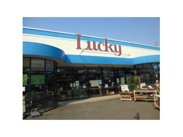 ラッキー成美店：555m