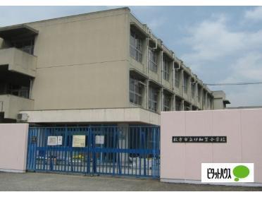 枚方市立伊加賀小学校：981m