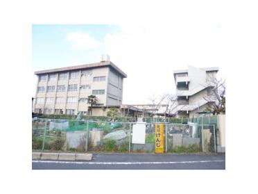 寝屋川市立点野小学校：1128m