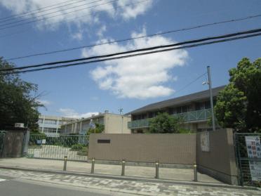 枚方市立牧野小学校：523m