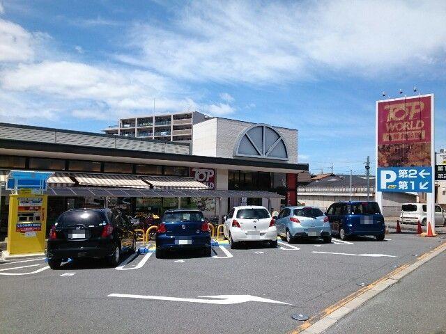 トップワールド様：230m
