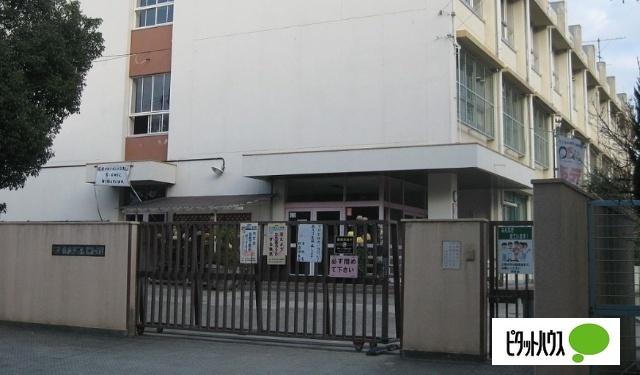 枚方市立招提中学校：729m