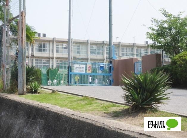 大阪府立枚方高校：530m