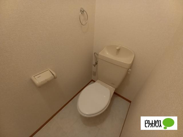 ドミール岡山手（303） トイレ