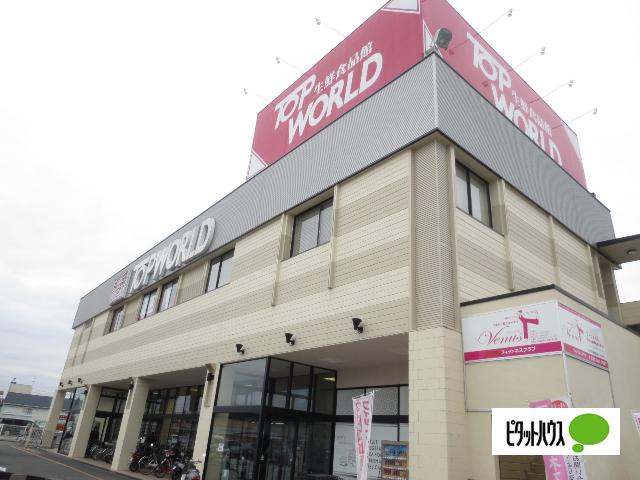 トップワールド枚方店：317m