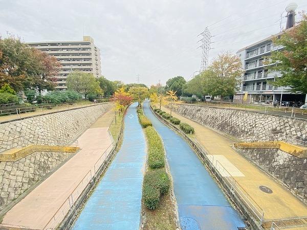 西淀公園：1146m