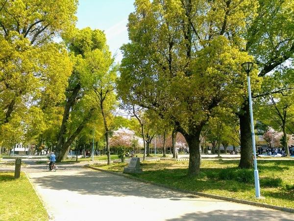 十三公園：333m